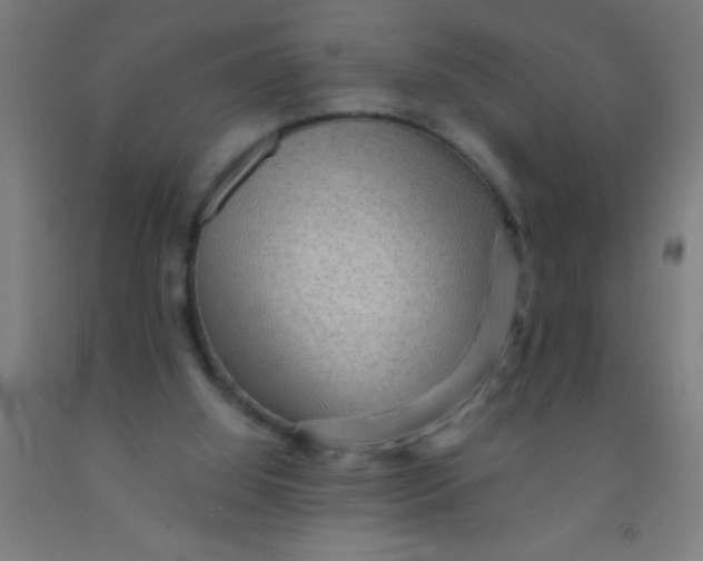 X0000092030060200709271617