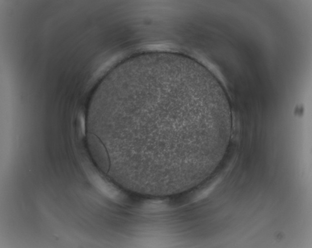 X0000092030061200709271617