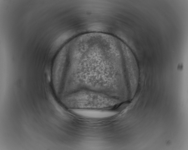 X0000092030062200709271617