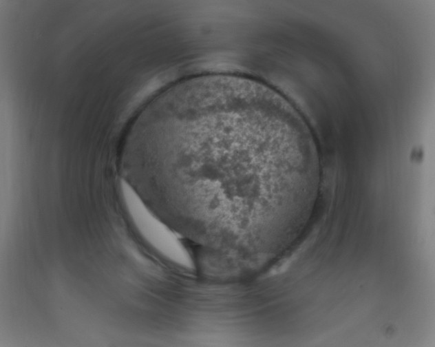 X0000092030063200709271617