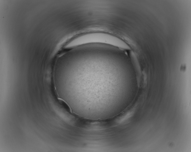 X0000092030064200709271617