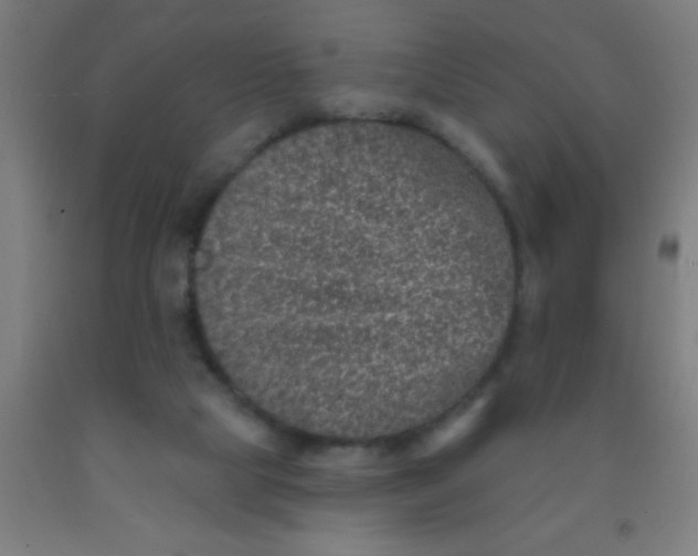 X0000092030065200709271617