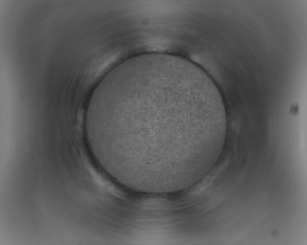 X0000092030066200709271617