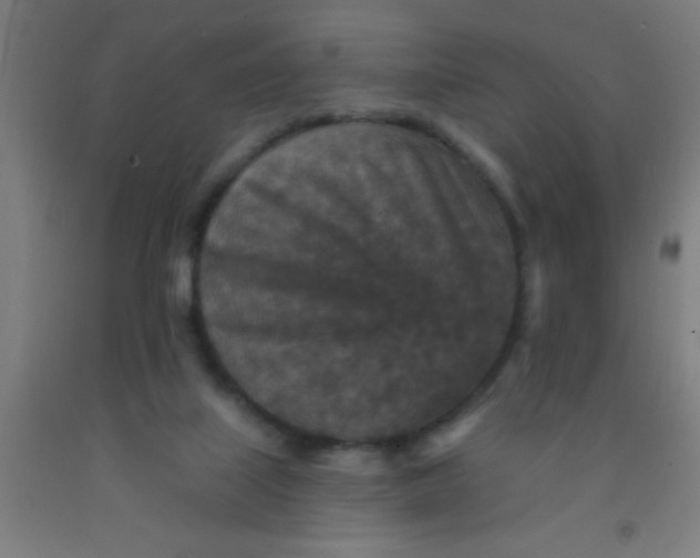 X0000092030067200709271617