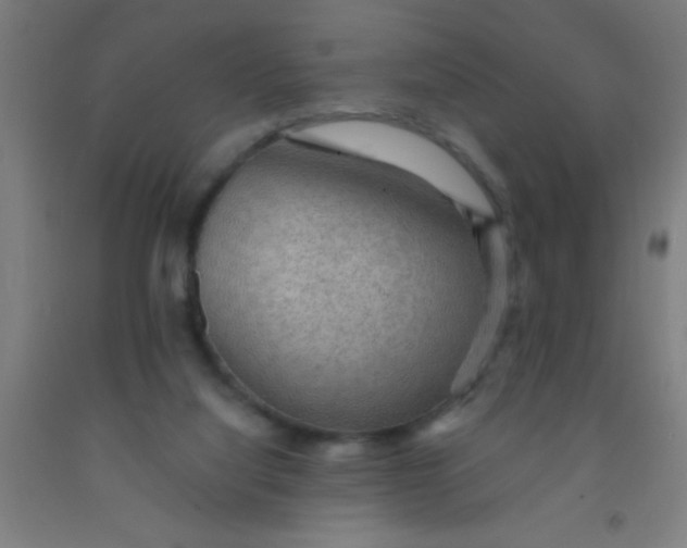 X0000092030068200709271617