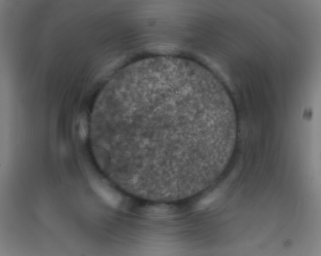 X0000092030069200709271617