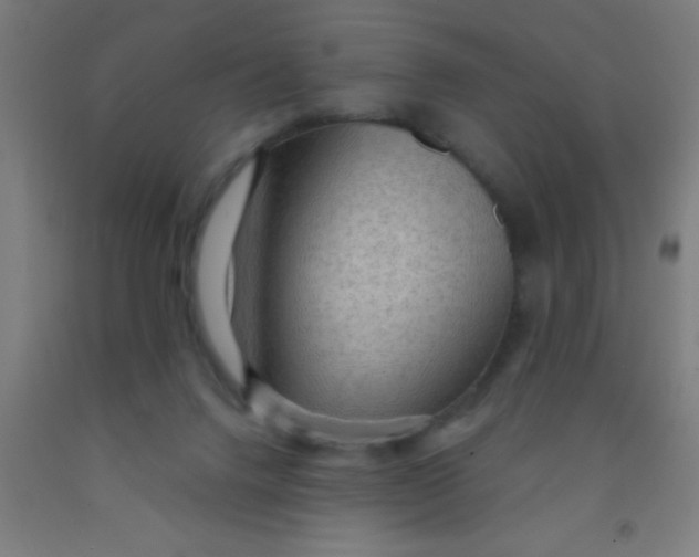 X0000092030072200709271617