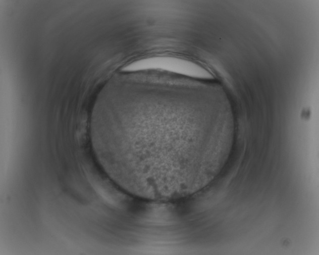 X0000092030073200709271617