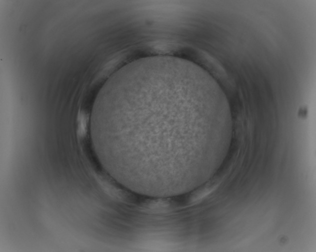 X0000092030075200709271617