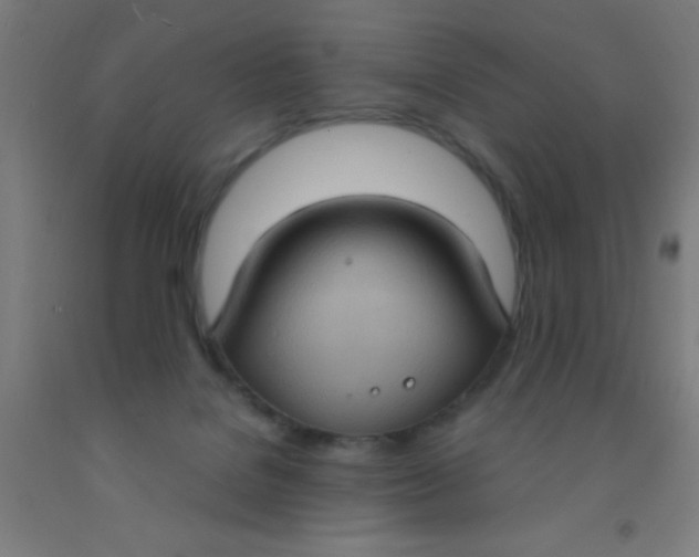 X0000092030076200709271617