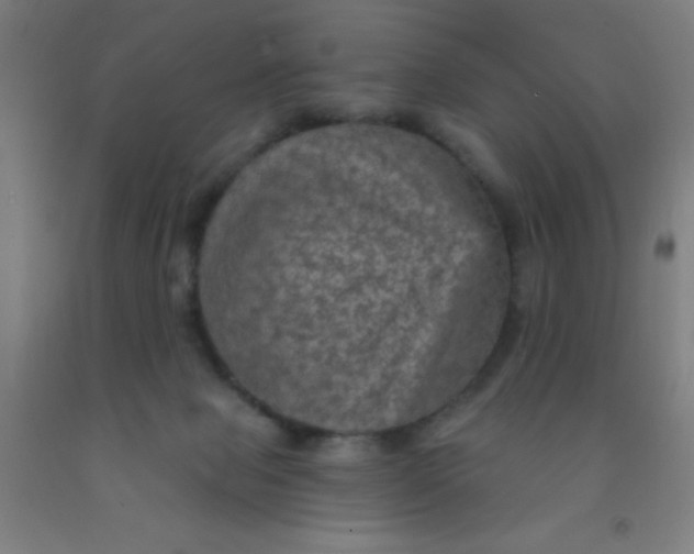 X0000092030077200709271617