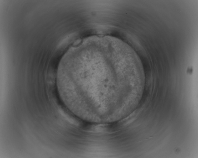 X0000092030078200709271617