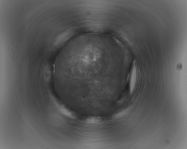 X0000092030080200709271617