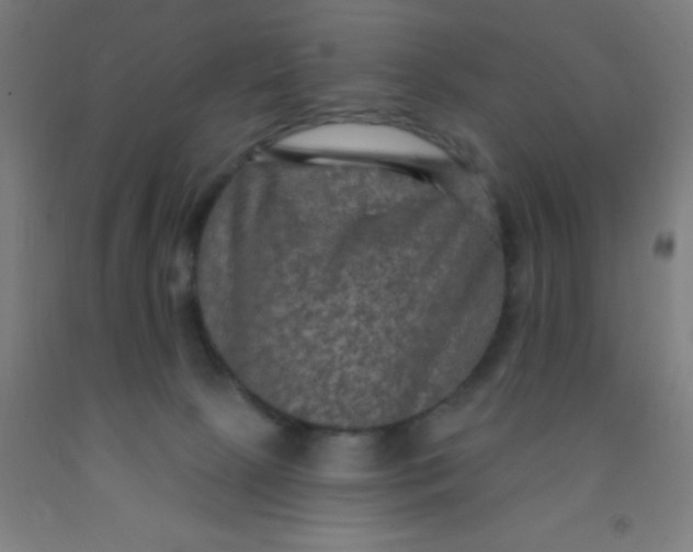 X0000092030081200709271617