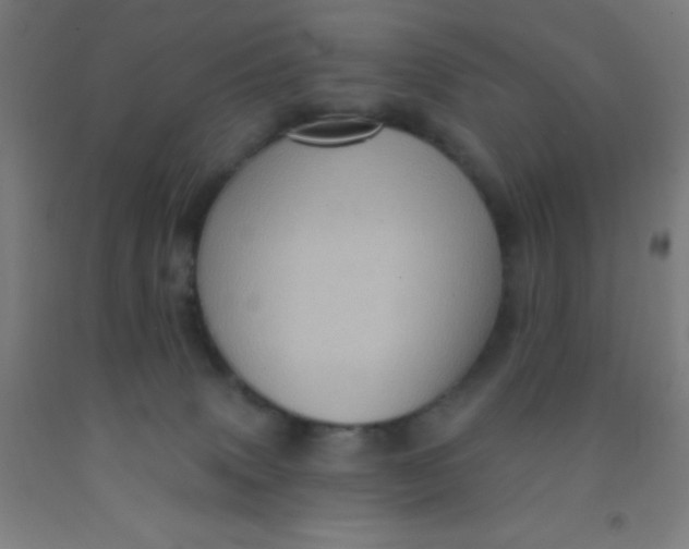 X0000092030083200709271617