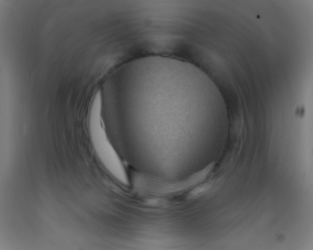 X0000092030084200709271617