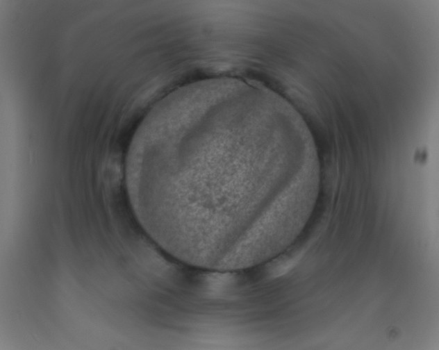 X0000092030085200709271617