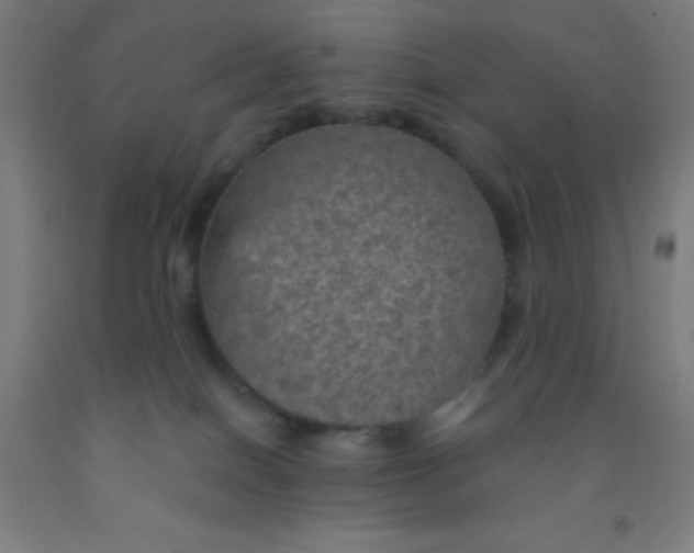 X0000092030086200709271617