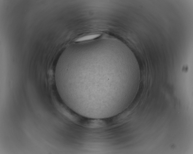 X0000092030087200709271617