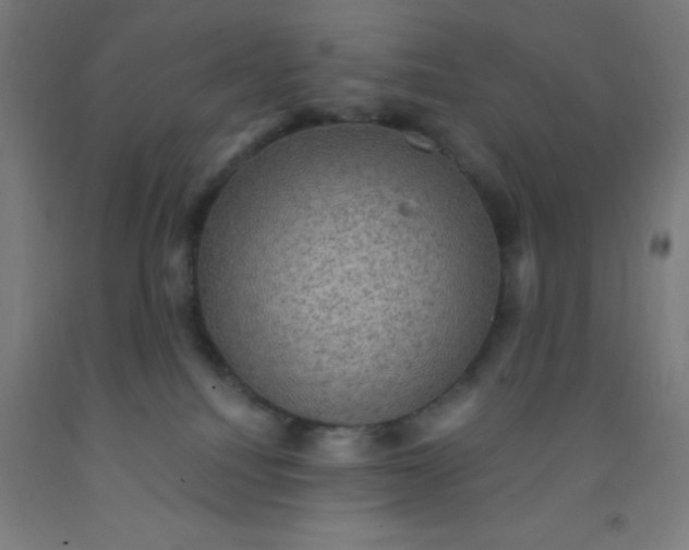 X0000092030088200709271617