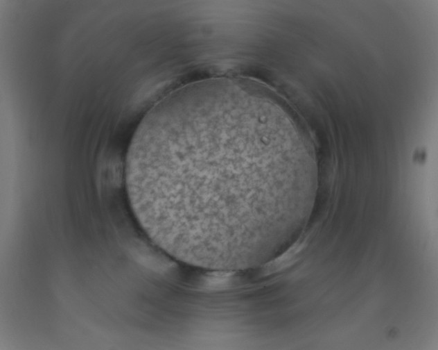 X0000092030090200709271617