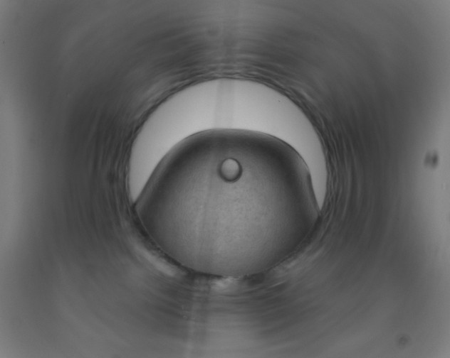 X0000092030092200709271617