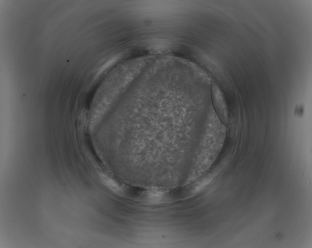 X0000092030093200709271617