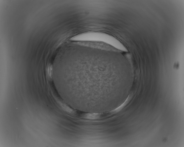 X0000092030094200709271617