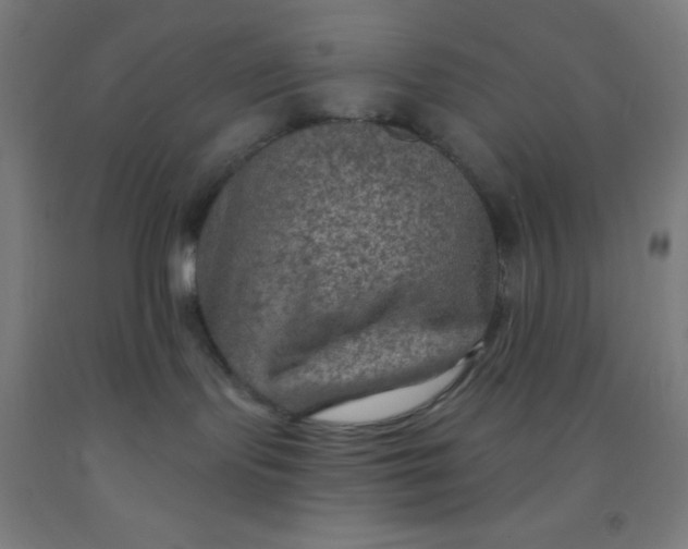 X0000092030095200709271617