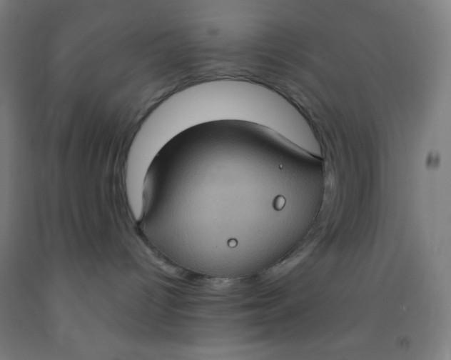 X0000092030096200709271617