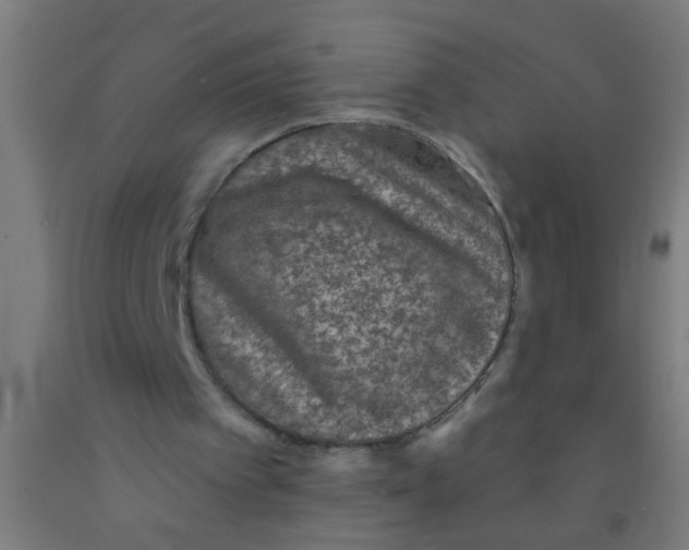 X0000092030097200709271617