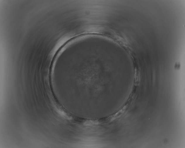 X0000092030099200709271617