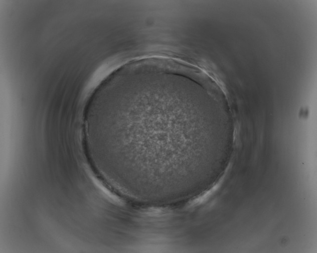 X0000092030101200709271617