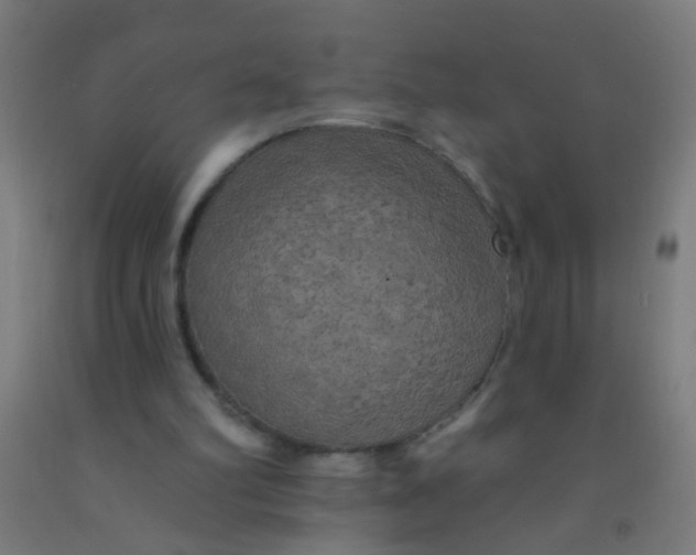 X0000092030102200709271617