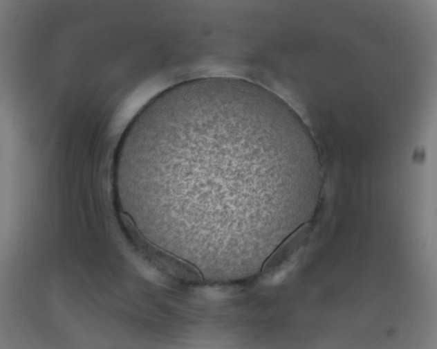 X0000092030103200709271617