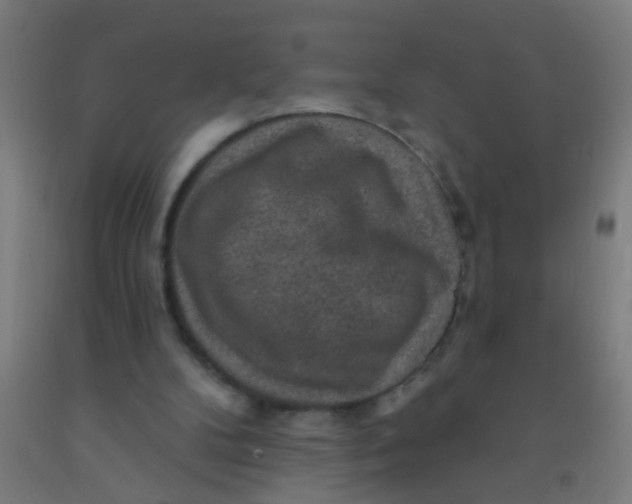 X0000092030104200709271617