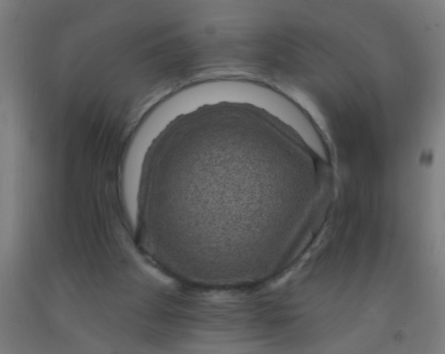 X0000092030105200709271617