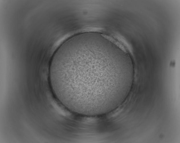 X0000092030107200709271617