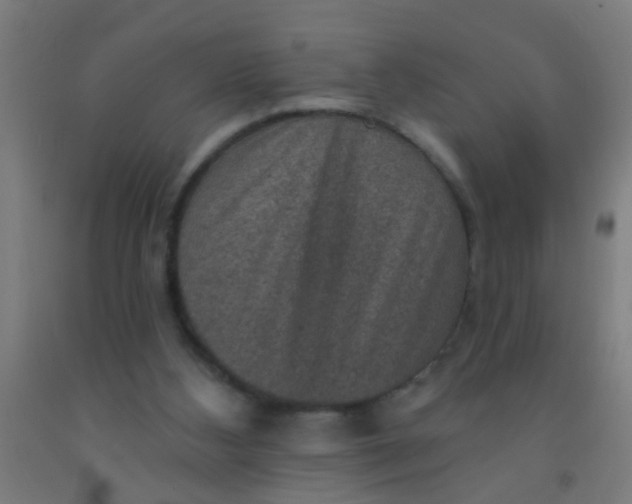 X0000092030108200709271617