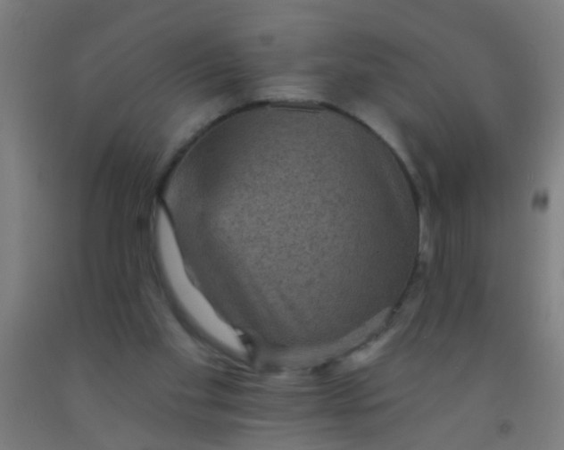 X0000092030109200709271617