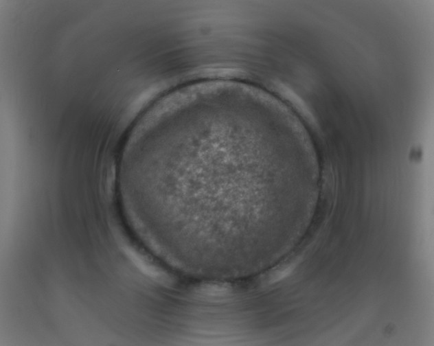 X0000092030110200709271617