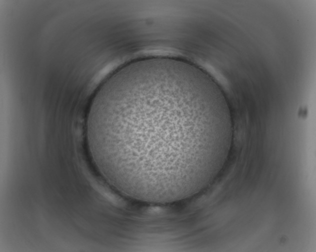 X0000092030111200709271617