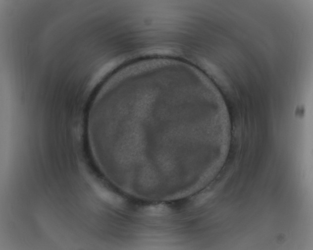 X0000092030112200709271617