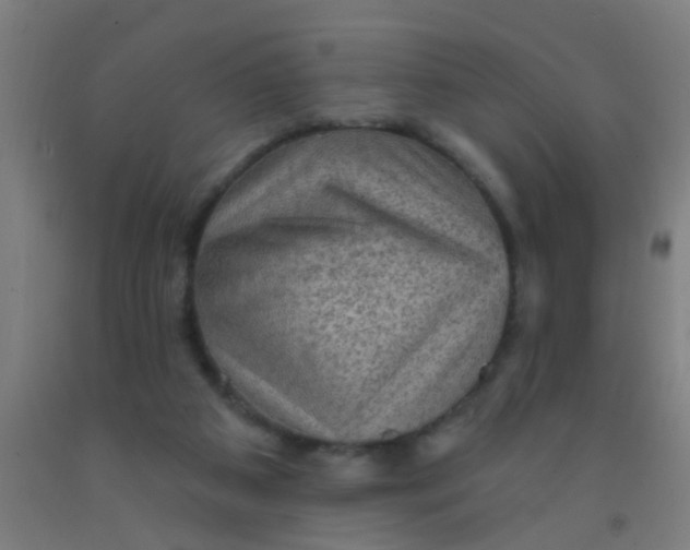 X0000092030113200709271617