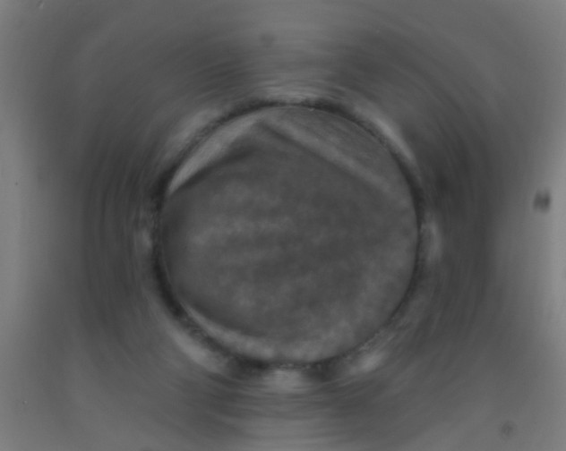 X0000092030114200709271617