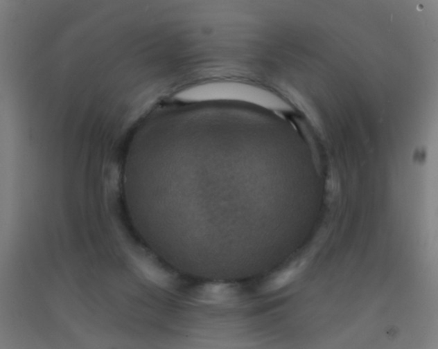 X0000092030117200709271617