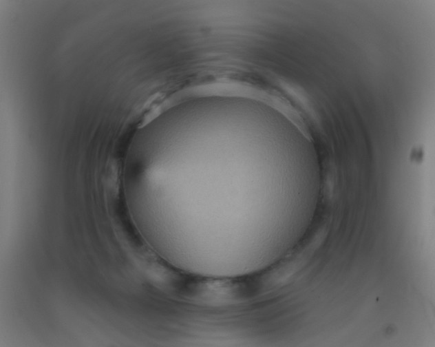 X0000092030121200709271617