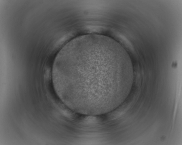 X0000092030123200709271617