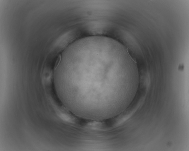 X0000092030125200709271617