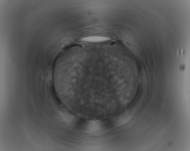 X0000092030127200709271617